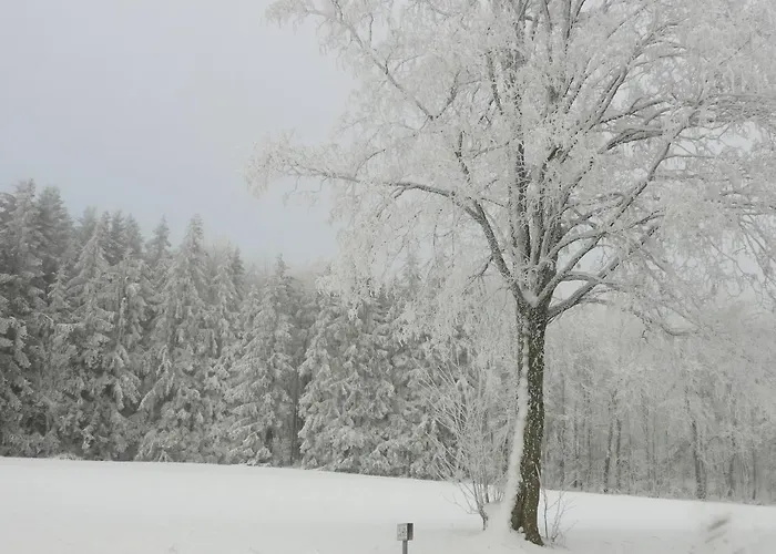 Haus Eugen Apartman *